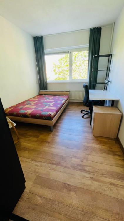 Room for rent 950 euro Joseph Haydnlaan, Leiden