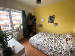 Kamer te huur 395 euro Volkerakstraat, Arnhem