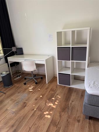 Zimmer bei Willebrordusstraat In Rotterdam