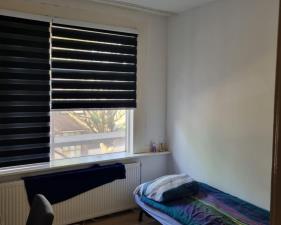 Room for rent 590 euro Buys Ballotsingel, Schiedam