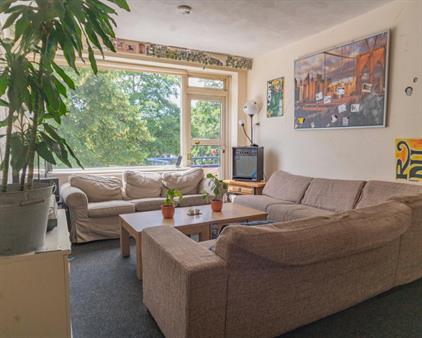 Room for rent 380 euro Vondellaan, Groningen