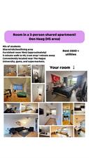 Room for rent 600 euro Rijswijkseweg, Den Haag