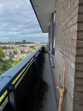 Wohnung bei Azielaan In Utrecht
