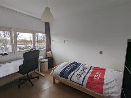Room for rent 415 euro Chinalaan, Delft