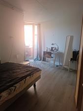 Room for rent 900 euro Woldberg, Capelle aan den IJssel