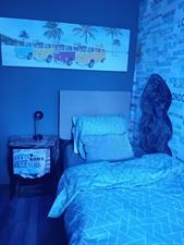 Room for rent 700 euro Bos en Lommerweg, Amsterdam