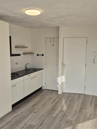 Zimmer bei Tuinbouwdwarsstraat In Groningen