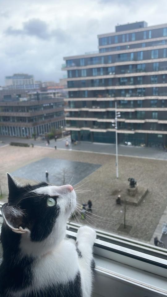 Kamer te huur in Amsterdam – Postjesweg – foto 4