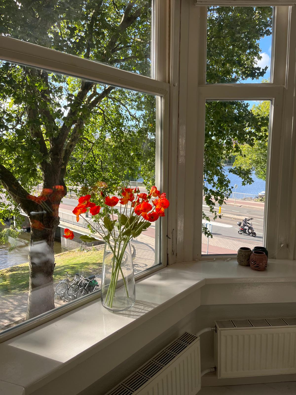Appartement aan Westlandgracht, Amsterdam 5