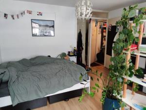 Kamer te huur 260 euro Bilderdijkstraat, Den Haag