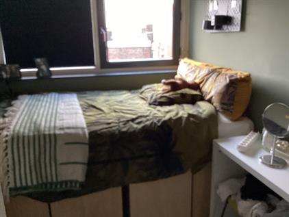 Room for rent 800 euro Korte Zijlstraat, Haarlem