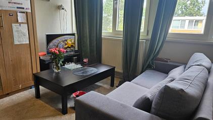 Room for rent 450 euro Turkooisstraat, Groningen