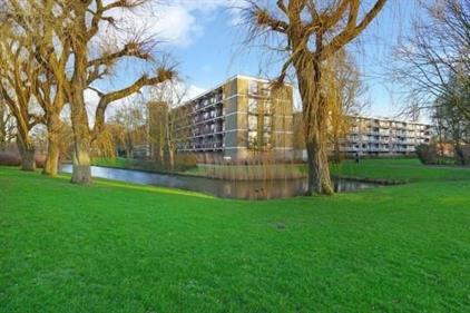 Apartment for rent 1550 euro William Boothlaan, Amstelveen