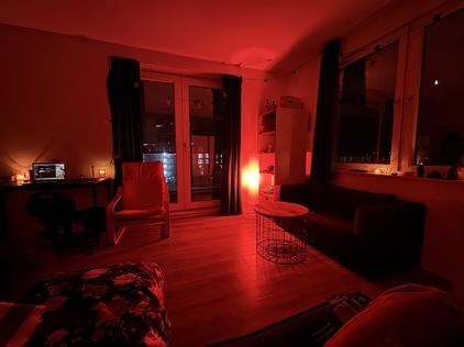 Studio for rent 730 euro Sigmaplantsoen, Leiden