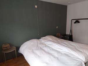 Room for rent 800 euro Wilhelminaplein, Someren