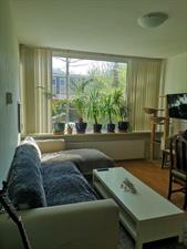 Room for rent 500 euro Loderstraat, Rotterdam