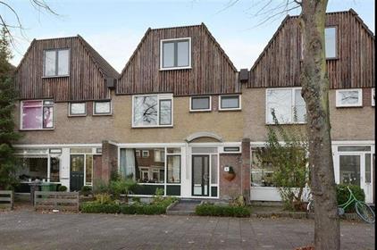 Room for rent 850 euro Herman Gorterhof, Delft