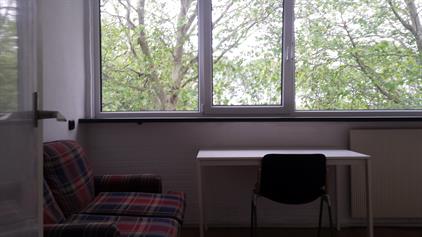 Room for rent 350 euro Brahmslaan, Delft