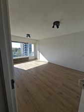 Apartment for rent 2500 euro Burgemeester Hogguerstraat, Amsterdam