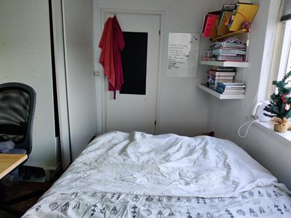 Kamer te huur 410 euro Prinsenhof, Leiderdorp