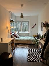 Kamer te huur 400 euro Gouden Leeuw, Amsterdam