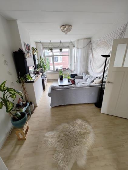 Apartment for rent 1350 euro De Moucheronstraat, Den Haag