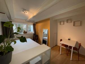 Room for rent 445 euro Boterdiep, Groningen