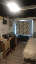 Room for rent 400 euro Kinlozen, Nieuw-Vennep