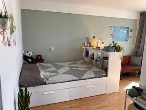 Room for rent 462 euro Louis Couperuslaan, Delft