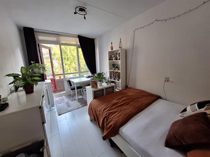 Room for rent 350 euro Pelikaanhof, Leiden