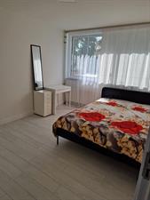 Room for rent 1000 euro Galjoenstraat, Zaandam