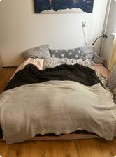 Kamer te huur 1000 euro Prelude, Zaandam