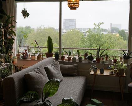 Kamer te huur 680 euro Arthur van Schendelplein, Delft