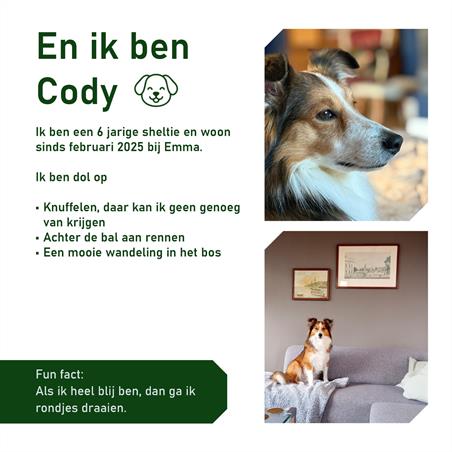 Wohnung bei Geulstraat In Enschede