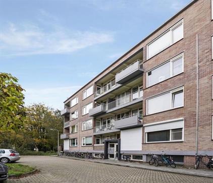 Room for rent 600 euro Europalaan, Tilburg