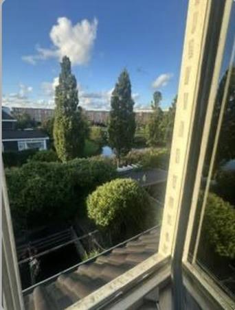 Kamer in Den Haag, Mijlpaal op Kamernet.nl: Mooie ruime Studio in Villa aan Park
