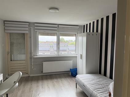 Zimmer zu vermieten 700 Euro Roukensstraat, Nijmegen