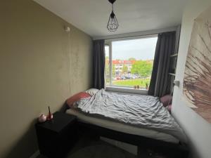 Room for rent 340 euro Euterpeplein, Amersfoort
