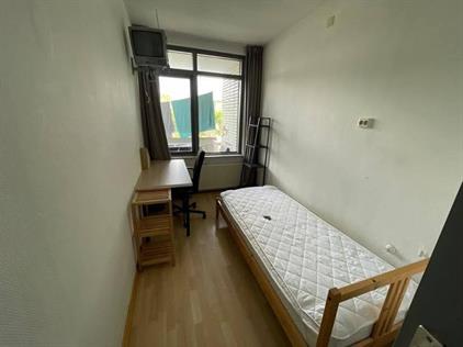 Kamer te huur 510 euro Daniel Josephus Jittastraat, Tilburg