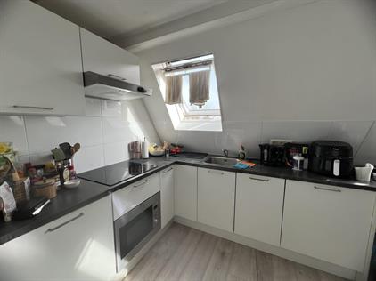 Room for rent 700 euro Oosterhamrikkade, Groningen