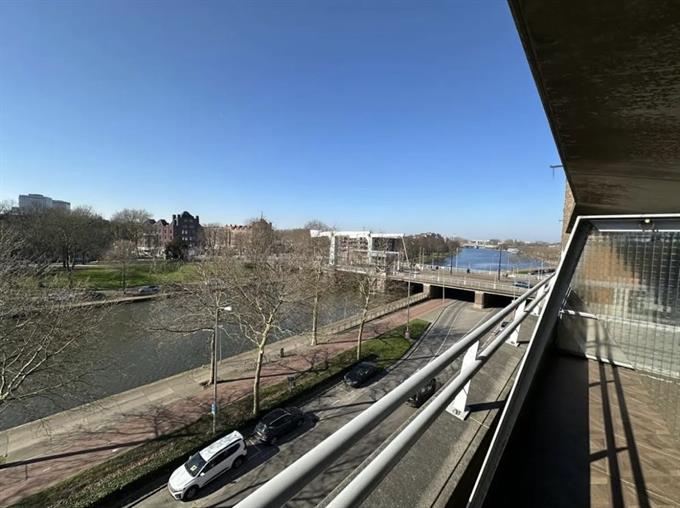 Zimmer bei Aelbrechtskade In Rotterdam