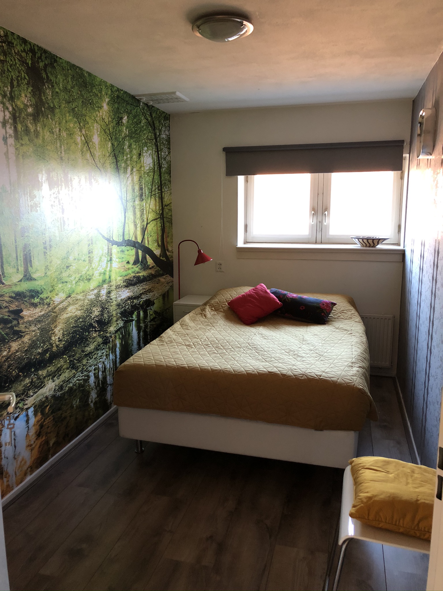 Kamer te huur in Amsterdam – Jan Evertsenstraat – foto 2