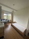 Kamer te huur 475 euro Molukkenstraat, Nijmegen