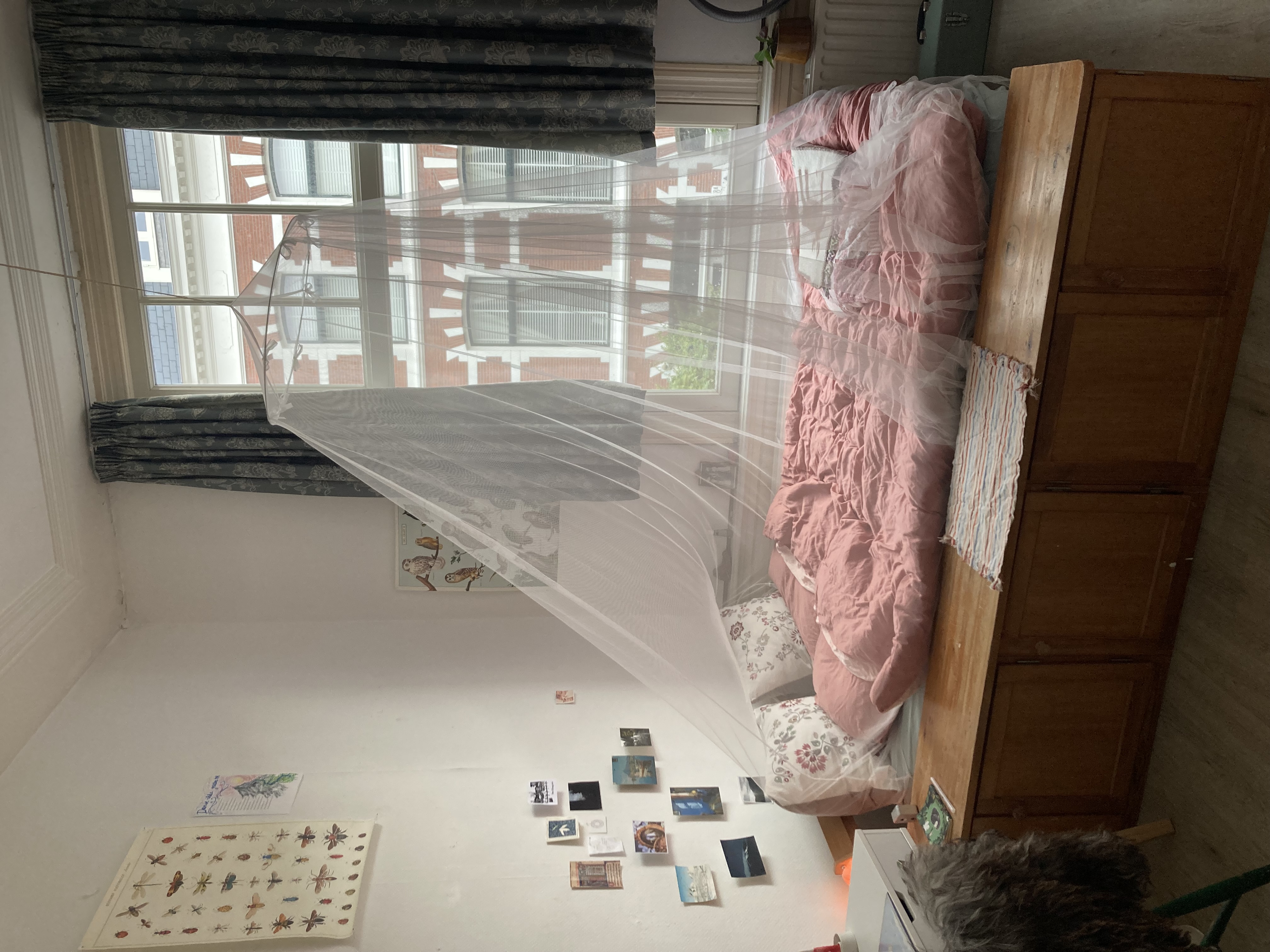 Kamer te huur in Den Haag – De Carpentierstraat – foto 3