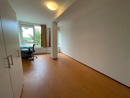 Room for rent 489 euro Stadsbrink, Wageningen