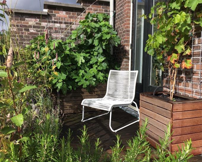 Zimmer bei Claes de Vrieselaan In Rotterdam