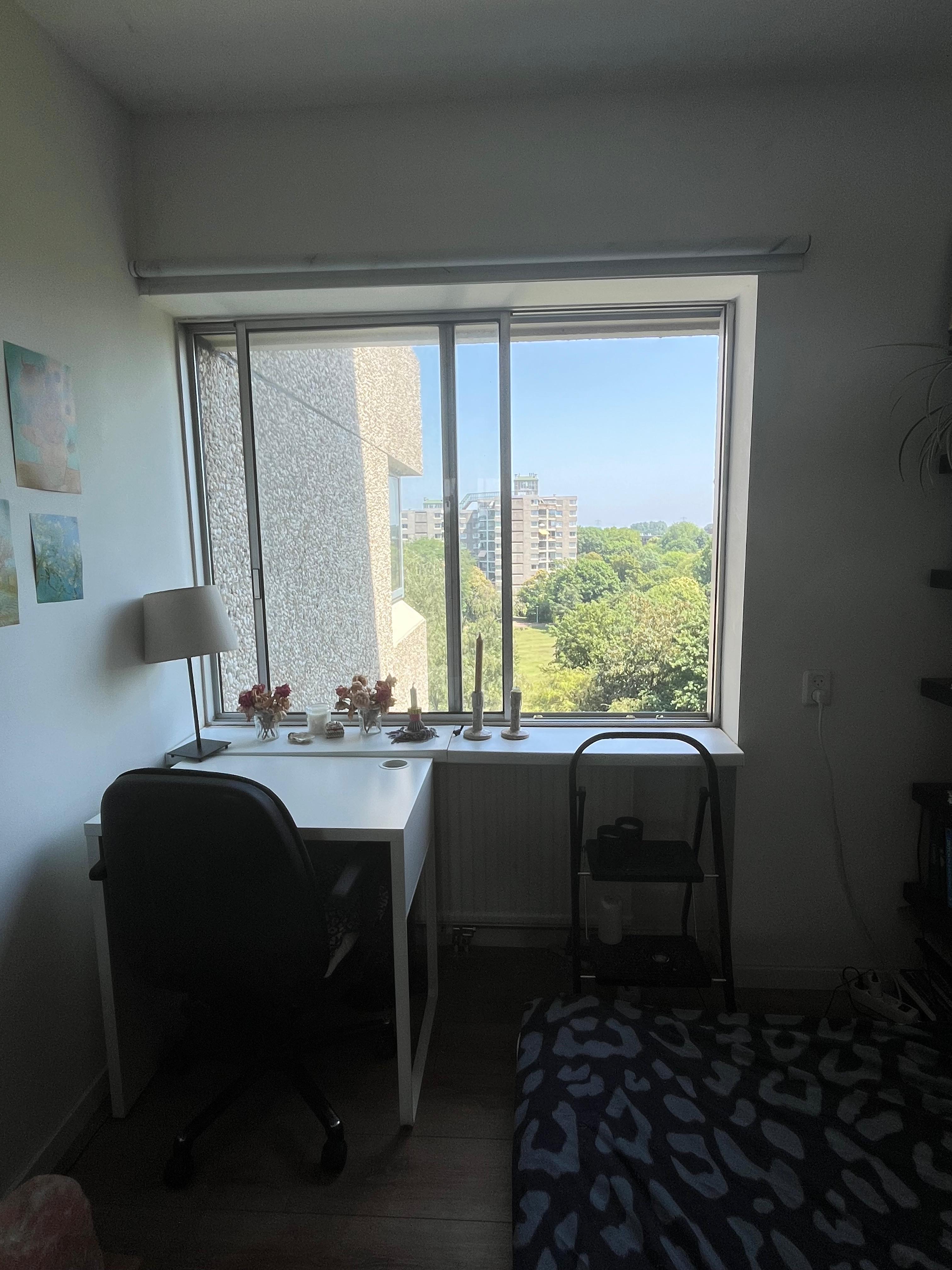 Kamer te huur in Amsterdam – Gouden Leeuw – foto 4