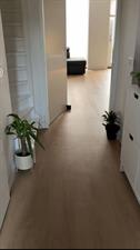 Room for rent 600 euro Penningkruid, Bodegraven