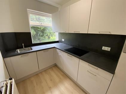 Room for rent 717 euro Molukkenstraat, Groningen