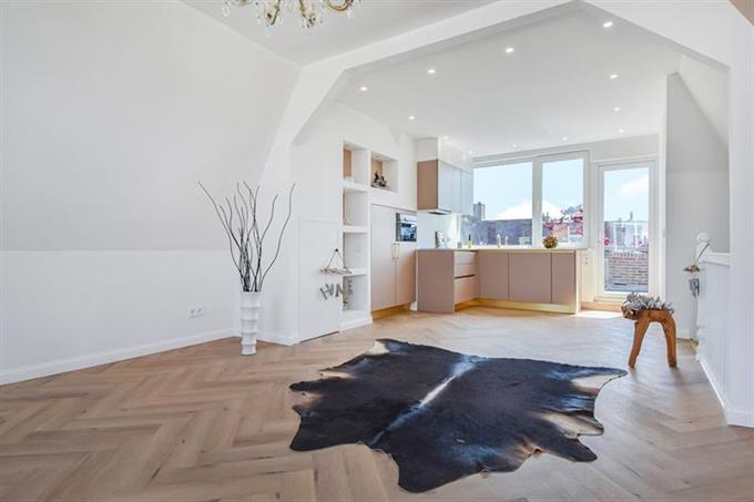 Kamer in Den Haag, Mariottestraat op Kamernet.nl: Stap binnen in deze sfeervolle en instapklare